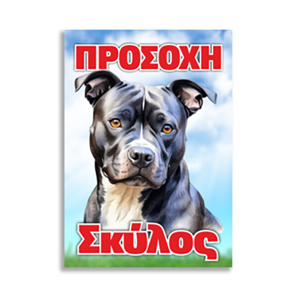 Α4_197x279 copy