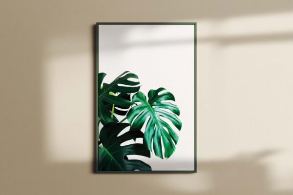 LEAVES0115
