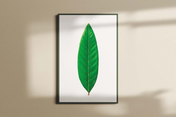 LEAVES0116