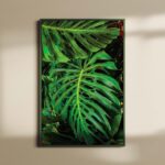 ΕΚΤΥΠΩΣΗ ΑΦΙΣΑΣ / CANVA LEAF 43
