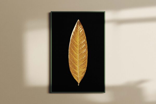 LEAVES0138