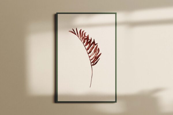 LEAVES0148