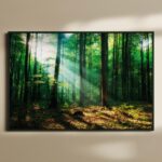 ΕΚΤΥΠΩΣΗ ΑΦΙΣΑΣ / CANVA ΔΑΣΟΣ FOREST 641