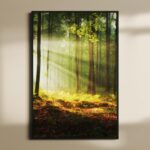 ΕΚΤΥΠΩΣΗ ΑΦΙΣΑΣ / CANVA ΔΑΣΟΣ FOREST 650